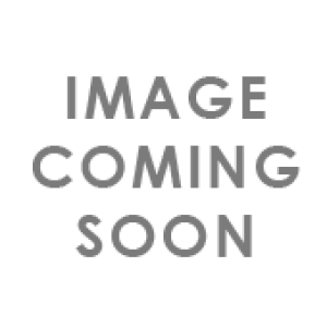 ELVIS PRESLEY BLVD ENGRAVABLE