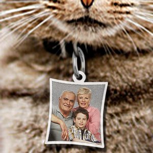 Pet s Curve Rectangle Picture Pendant