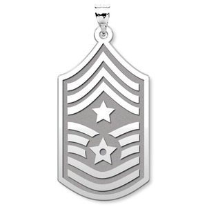 U S AirForce National Guard Command Chief Master Sergeant Pendant