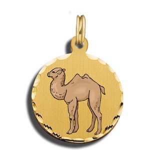 Camel Charm