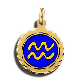 Aquarius Charm