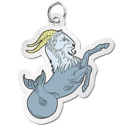 Capricorn Charm