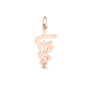 7934 Silver Veterinarian