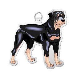 Dog   Rottweiller Charm