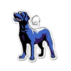 Dog    Black Labrador Retriever Charm